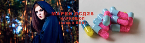 ГАЛЛЮЦИНОГЕННЫЕ ГРИБЫ Навашино
