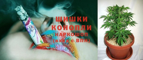 ГАЛЛЮЦИНОГЕННЫЕ ГРИБЫ Навашино