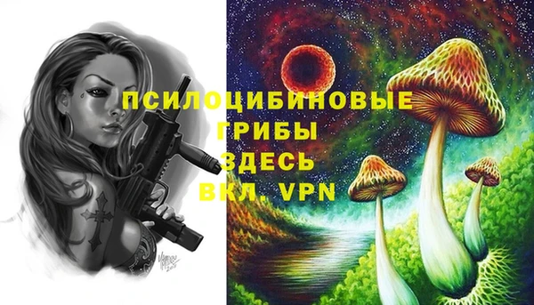 тгк Надым